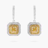 Yellow Diamond + White Diamond earrings