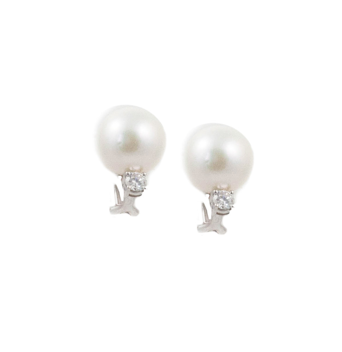 South Sea Pearl Earrings